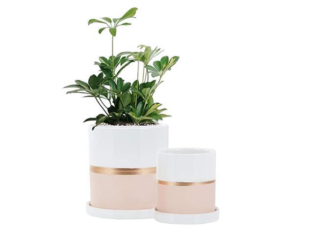 White Ceramic Flower Pot Garden Planters 6quot4quot Large Plant Indoor Pot Containers with White Texture and Gold Detail Ceramic Garden Pot with