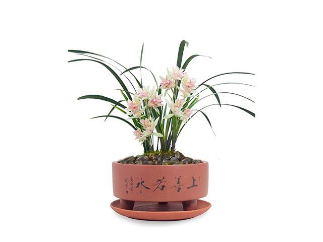52quotquotTop Virtue is Like Water Zisha Bonsai PlanterPlant Flower Pot w Saucer Brown