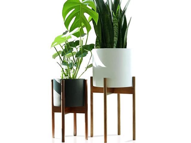amp Fern Tall Plant Stand Acacia EXCLUDING 10quot White Ceramic Plant Pot