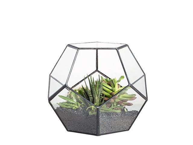 Glass Geometric Terrarium Container Modern Tabletop Window Sill Decor Flower Pot Balcony Planter Diy Display Box for Succulent Fern Moss Air Plants