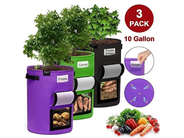 Potato Grow Bags 3 Pack 10 Gallon Plant Growing Bags2020 Version Aeration Fabric Pots Window Flap Reinforced Handles+Label Holder+3 Drainage Holes