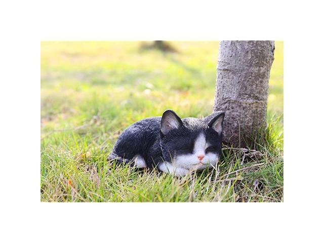 87699B Kitten Sleeping Black amp White Cat Statue