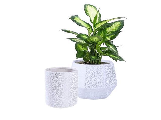 Set of 2 Ceramic Flower Pot Garden Planters6 Inch Indoor Plant Containers with Drainage HoleWhite and Silver Detailing