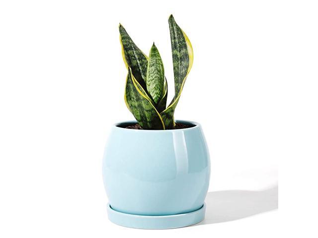 Ceramic Planter Flower Plant Pot 51 with Drain Hole SaucerEnough Space Modern Decorative for Indoor Planters Turquoise