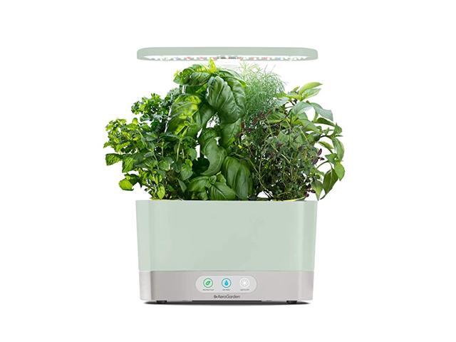 Sage Harvest Indoor Garden 2019 Model