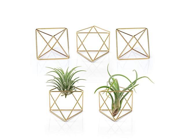 5 Packs Air Plant Holder Mini Metal Tabletop Himmeli Decor Modern Geometric Planter Tillandsia Air Fern Display Stand with Each Side 26quot Long