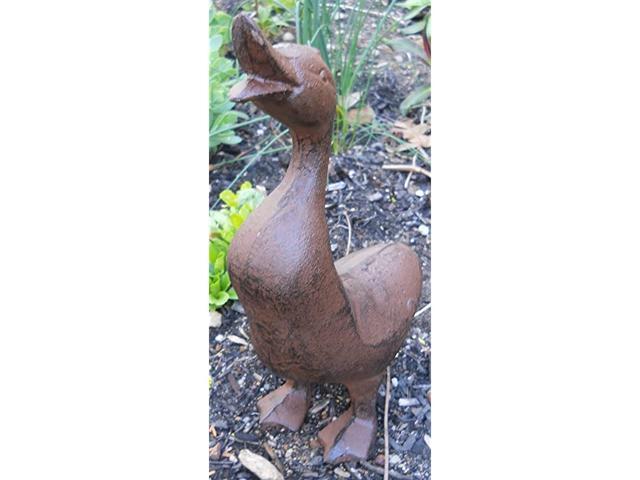 Bodied Cast Iron Duck Garden Figure