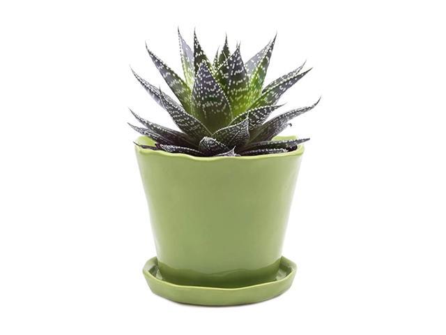 Tika Succulent and Cactus Pot and Saucer Ceramic Flower and Plant Container with Drainage Hole and Detachable Saucer Great for IndoorOutdoor Garden