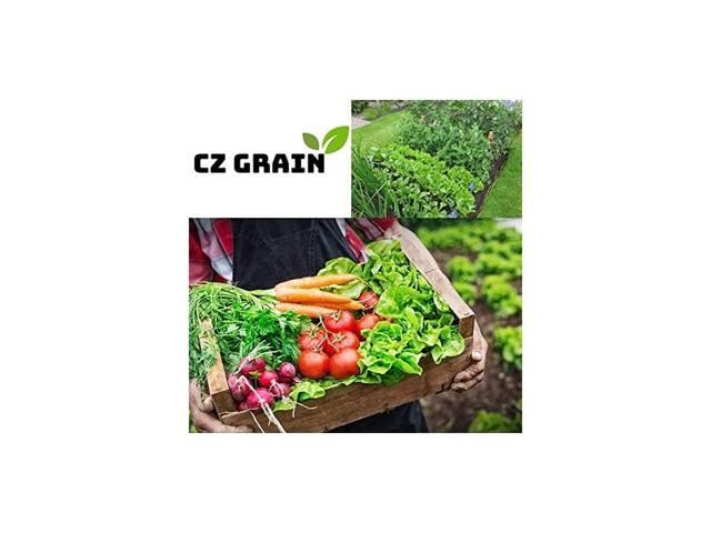 Garden Seed Kit Tomato Carrot Lettuce String Bean Cucumber Onion Grow Your Own Food Seeds for Planting