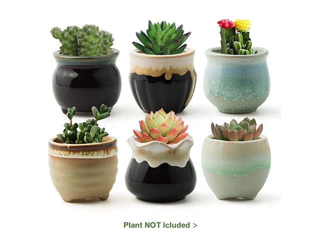 Succulent Pots 25 Succulent Plant Pots Small Pots for Plants Cute Small Planter with Accessories Great for Home Decor and Ideal Gift Set of 12