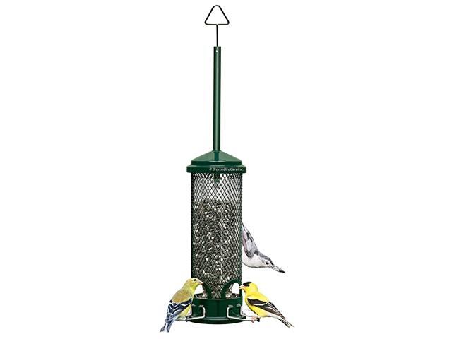 Buster Mini proof Bird Feeder w4 Metal Perches 098pound Seed Capacity