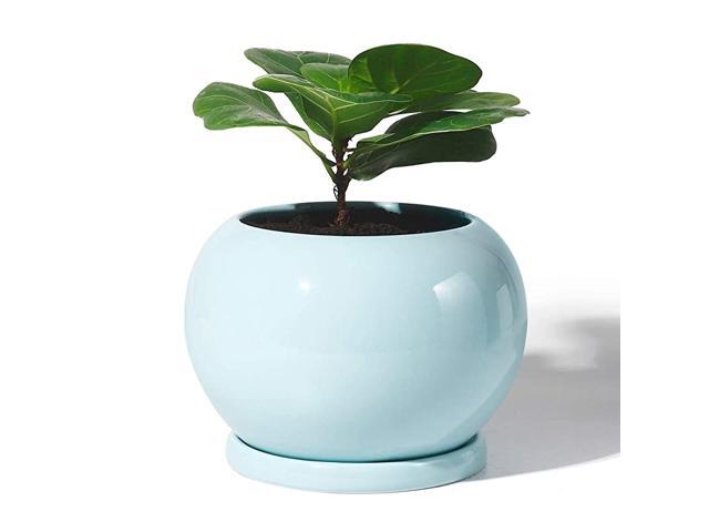 Planter Ceramic Plant Flower Pot 5 Inch Large Indoor Glazed Container Bonsai with Drainage Hole Saucer Large Space GolbeTurquoise