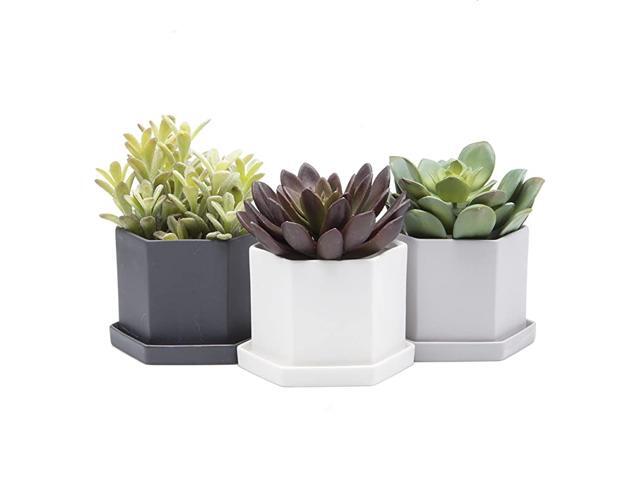 Set of 3 Succulent and Clay 4 Inch Pot and Saucer Planter with Drainage Hole and Saucer Tray and Dish Black White Grey