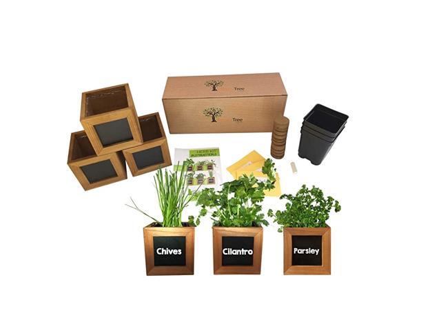Herb Garden Kit Includes 3 Wooden Herb Pots Internal drip Trays Soil Pellets Chalk Instructions Booklet and Cilantro Parsley amp Chives Non GMO