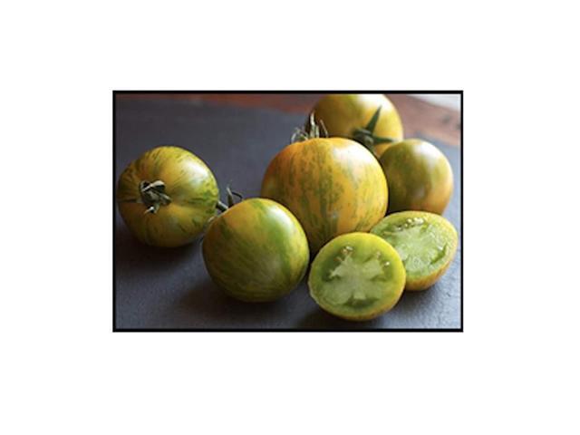 Green Zebra Tomato Seeds 200+ Premium Heirloom Seeds Yummy Delicious Fun Addition to Your Home Garden Non GMO 90 Germination Rates Highest Quality