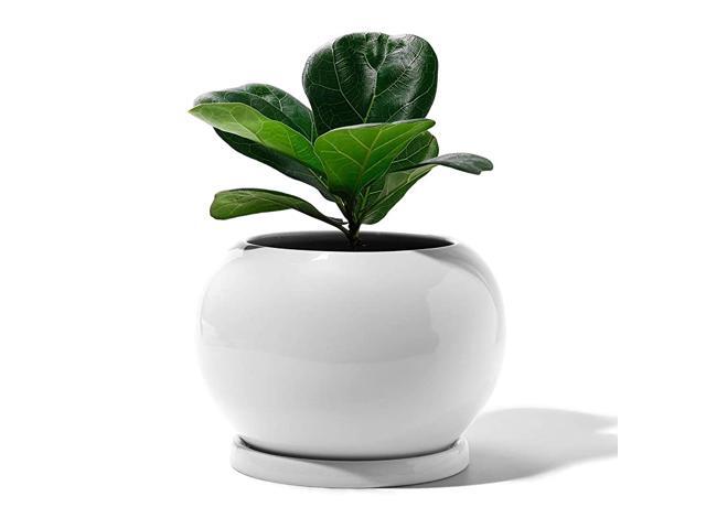 Planter Ceramic Plant Flower Pot 5quot Large Indoor Glazed Container Bonsai with Drainage Hole Saucer Large Space Golbe Pure White