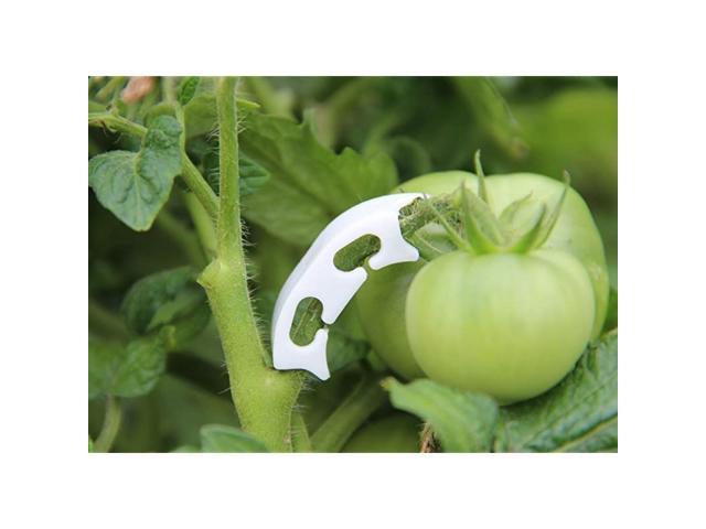Tomato Stem Support Clips Garden Fixing Clips for Tomato Stem to Grow Upright and Make Tomato Healthier Prevent Snapping 5mm