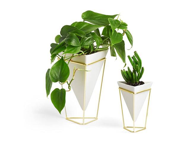 Trigg Desktop Planter Vase amp Geometric Containerfor Succulent Air Mini Cactus Faux Plants and More Desk WhiteBrass