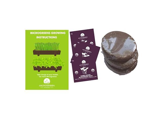 Rambo Radish Microgreens 3 Pack Refill Ð PreMeasured Soil amp Seed Use with Microgreen ProÕs Beautiful Wooden Microgreen Trays Measuring 16Ó x 8Ó