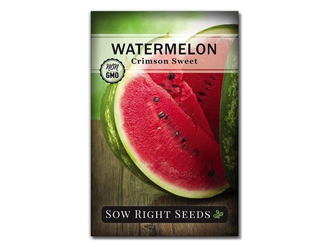 Crimson Sweet Watermelon Seed for Planting NonGMO Heirloom Packet with Instructions to Plant a Home Vegetable Garden Great Gardening Gift 1