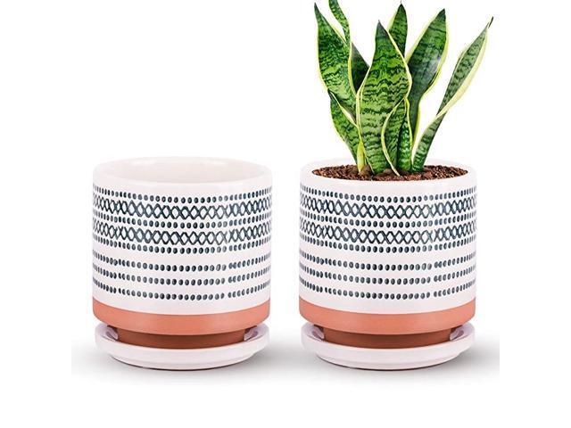 Succulent Pots Small Flower Pots Indoor 5 Inch Ceramic Planter Plant Pot with Porcelain Tray Drainage Hole for Snake Plants Jade Plant Herbs Prack