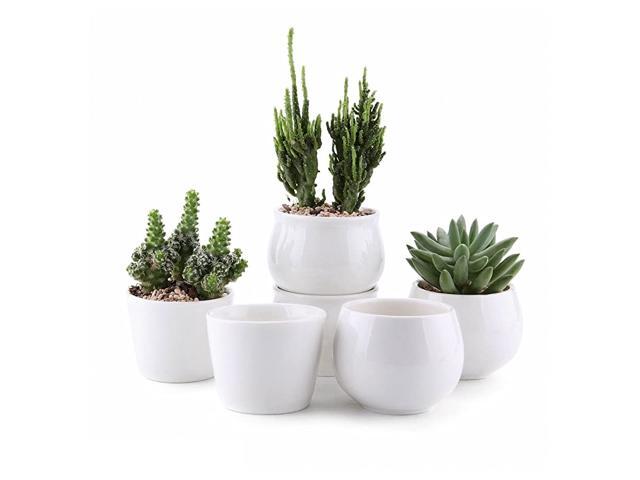 Ceramic Succulent Pot White Set of 6 25 Inch Cactus Plant Pot Succulent Plant Container Planter for Indoor Home Gardening Office Desktop Decoration