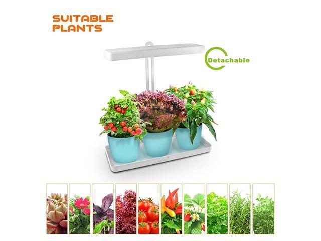 LED Indoor Garden Herb Garden Kitchen Garden Height Adjustable Automatic Timer 24V Low Safe Voltage Ideal for Plant Grow Novice Or Enthusiasts