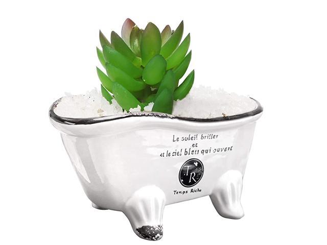9Inch White Ceramic French Country Style Claw Foot Bathtub Succulent PlanterSoap Dish