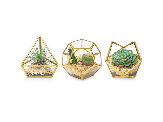 Mini Glass Geometric Terrarium Container Set of 3 Modern Tabletop Planter Windowsill Decor Shelves DIY Display Box Centerpiece Gift for Succulent
