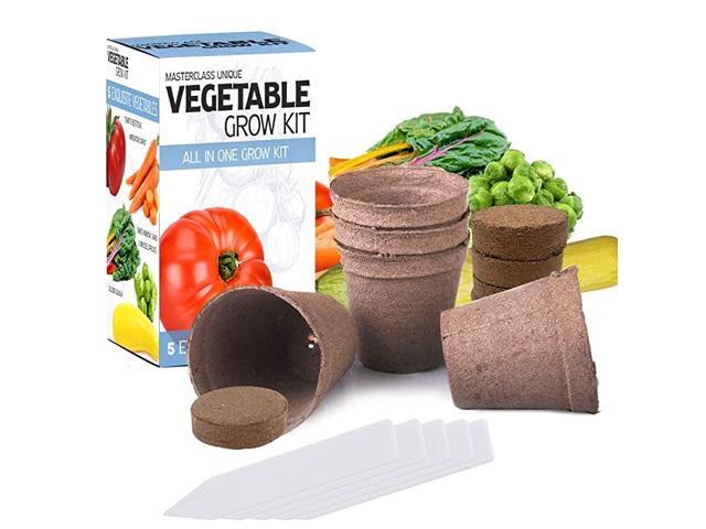 Vegetable Grow Kit 5 Extraordinary Vegetables to Grow Everything You Need to Start Growing in one Box Home Grow Kit