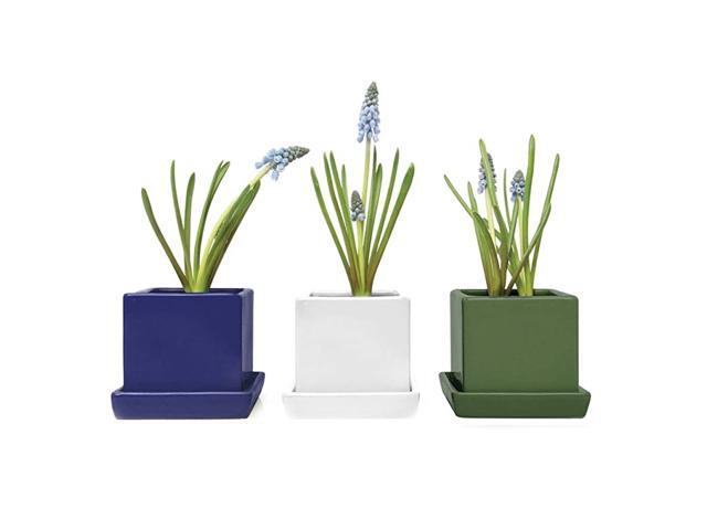 3 Piece Set Blue White Green Square Succulent Cactus Planter Pot 3 Inch Ceramic Flower Plant Container Drainage HoleSaucer Mini Pot IndoorOutdoor