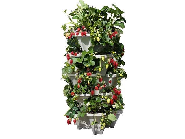5 Tiered Vertical Gardening Planter Indoor amp Outdoor