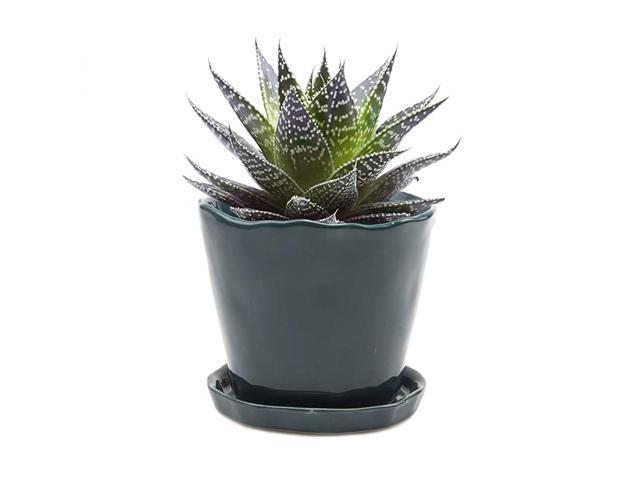 Tika Succulent and Cactus Pot and Saucer Ceramic Flower and Plant Container with Drainage Hole and Detachable Saucer Great for IndoorOutdoor Garden