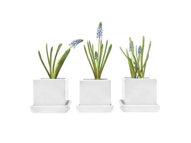 3 Piece Set White Square Succulent Cactus Planter Pot 3 Inch Ceramic Flower Plant Container Drainage HoleSaucer Mini Pot IndoorOutdoor Garden