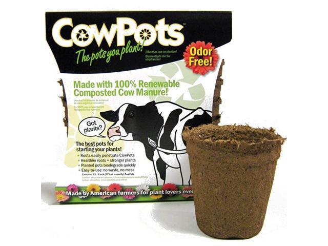 TV208926 3quot Round Cow Pot Planter 12 Pack 175mL