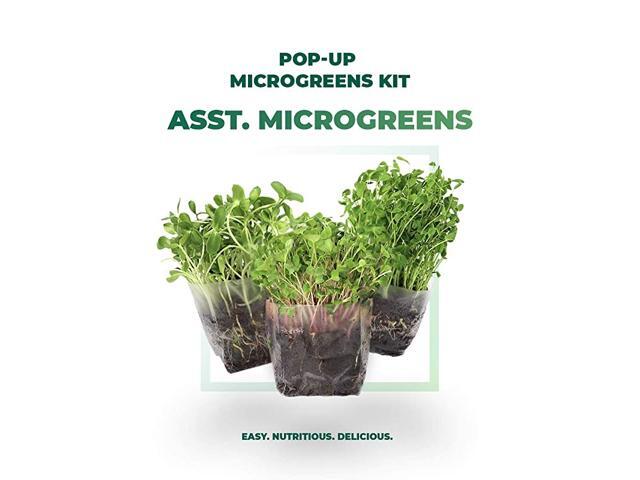 Assorted Indoor Microgreens Seed Starter Vegan Growing Kit Includes Seeds 3qts Organic Fiber Potting Soil and PopUp Bag Add Water and Grow