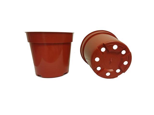 Standard Plastic Pots for Plants Cuttings amp Seedlings 4Inch Terracotta