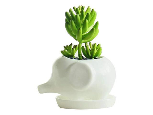 d 1 Pcs 4 inch Elephant Pot White Ceramic Succulent Planter PotsMini Flower Plant Containers Cute Animal Shaped Cartoon Planter Pots with Tray