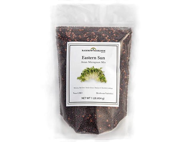 Eastern Sun Asian Microgreen Seeds Mix Contains Mizuna Pak Choi Cabbage Mustard amp Radish Sprout Seeds Non GMO Heirloom Seeds Bulk 1 LB