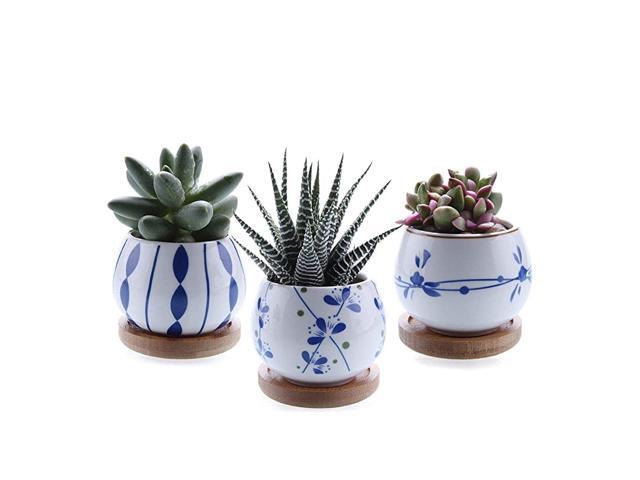 25 Inch Ceramic Succulent Planter Pot with Bamboo Saucer Set of 3 Cactus Plant Pot Flower Pot Container Planter Gift for Mom Sister Aunt Home