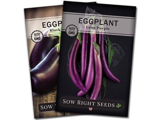 Eggplant Seed Collection for Planting Black Beauty and Long Eggplant Varieties NonGMO Heirloom Seeds to Plant an Outdoor Home Vegetable Garden