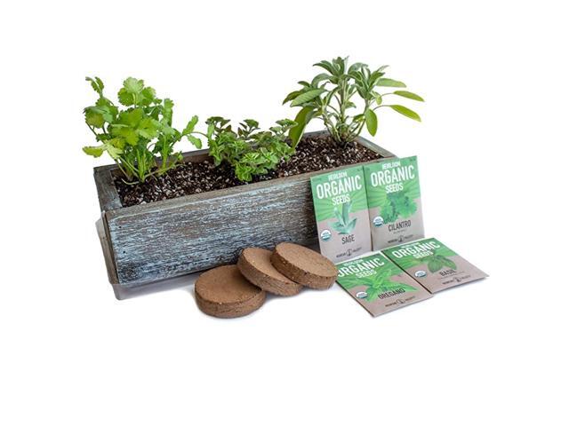 Indoor Herb Garden Kit with Reclaimed Barnwood Style Planter Aged Brown Grow Cooking Herbs NonGMO Organic Seeds Basil Cilantro Oregano amp Salvia