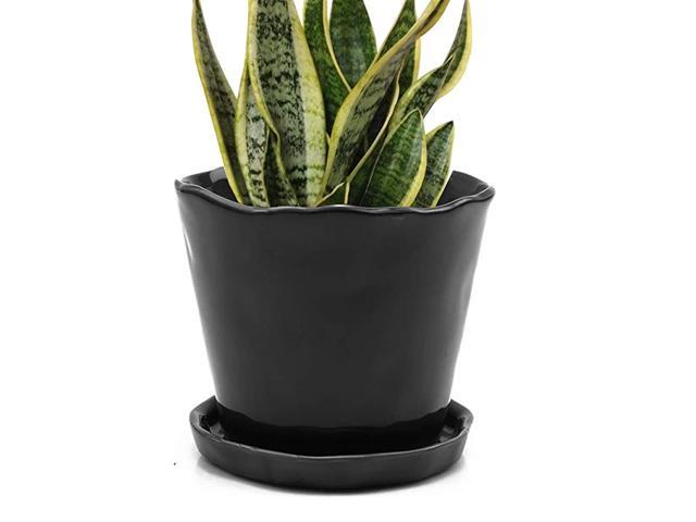 Tika Succulent and Cactus Pot and Saucer Ceramic Flower and Plant Container with Drainage Hole and Detachable Saucer Great for IndoorOutdoor Garden