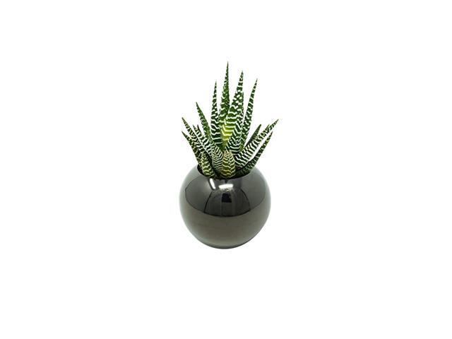 Stainless Steel Planter Sphere Metal Plant Pot for Succulents Cactus amp Small Plants Minimalistic Design for Desk Window or Modern Kitchen