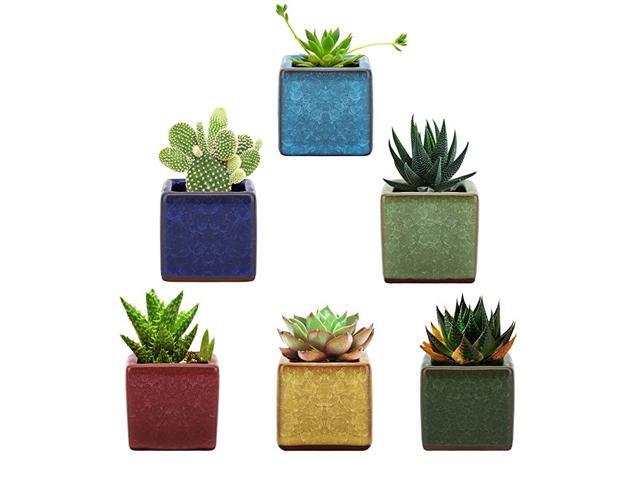 Ceramic Succulent Planter Pots 6 Pack 25 Inch Square Design Ice Crack Serial Flower Pot Bonsai Plant Pots Planter Container Set for Home Office