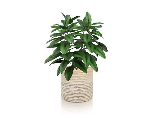 Cotton Rope Plant Basket Modern Woven Basket Pot Indoor Planter Up to 8 Inch Pot Storage Organizer Basket Rustic Home Décor C2 Pack85 in