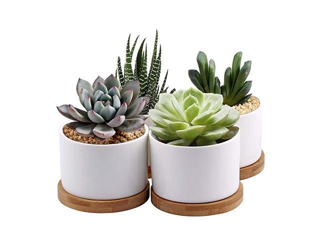 Succulent Planter White Mini 315 inch Ceramic Flower Planter Pot with Bamboo Tray Pack of 4 Plants Not Included