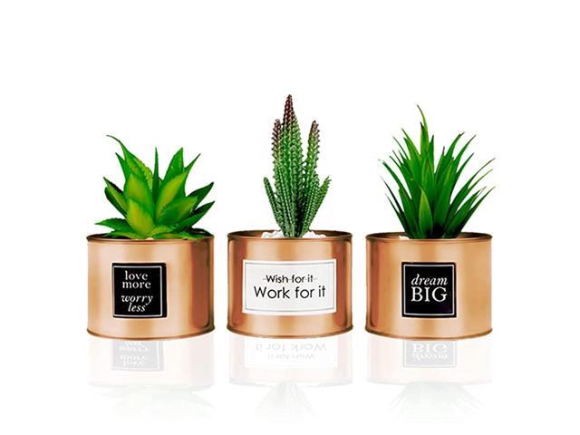 Decor for Women Desk Desk Decor for Women Bedroom Decor for Women Desk Decorations for Women Bookshelf Decor Boho Home Decor Fake Cactus Plant
