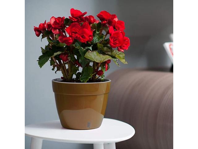 Self Watering Planter Modern Flower Pot with Water Level Indicator for All House Plants Flowers Herbs Height 83 inches Diameter 106quot Gold Black