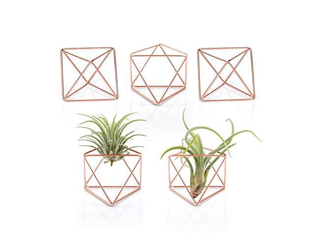 5 Packs Air Plant Holder Mini Metal Tabletop Himmeli Decor Modern Geometric Planter Tillandsia Display Stand with Each Side 26quot Long for Home